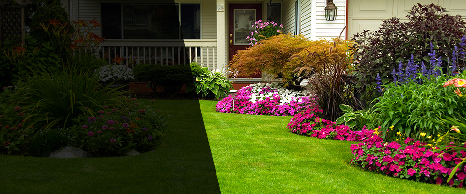 Potomac Landscapers