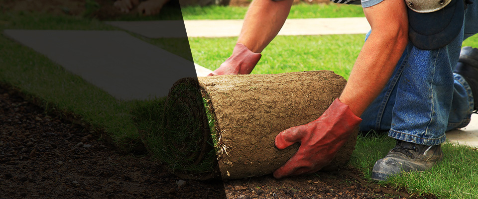 Potomac Landscapers